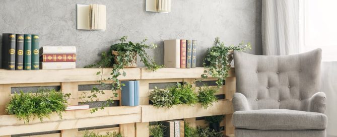 Decoración plantas de interior