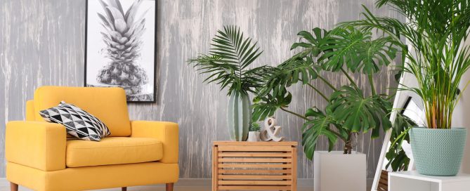 Decoración con plantas ideas